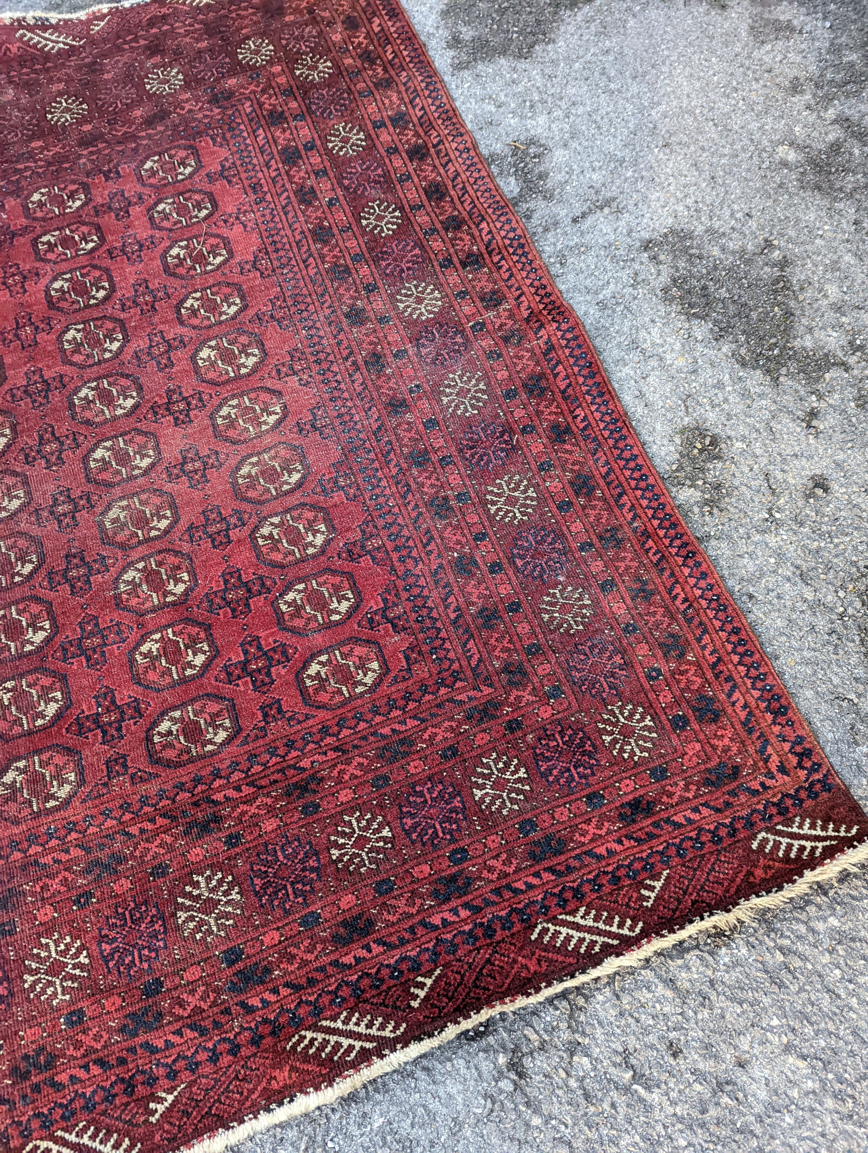 A Bokhara red ground rug, 176 x 135cm